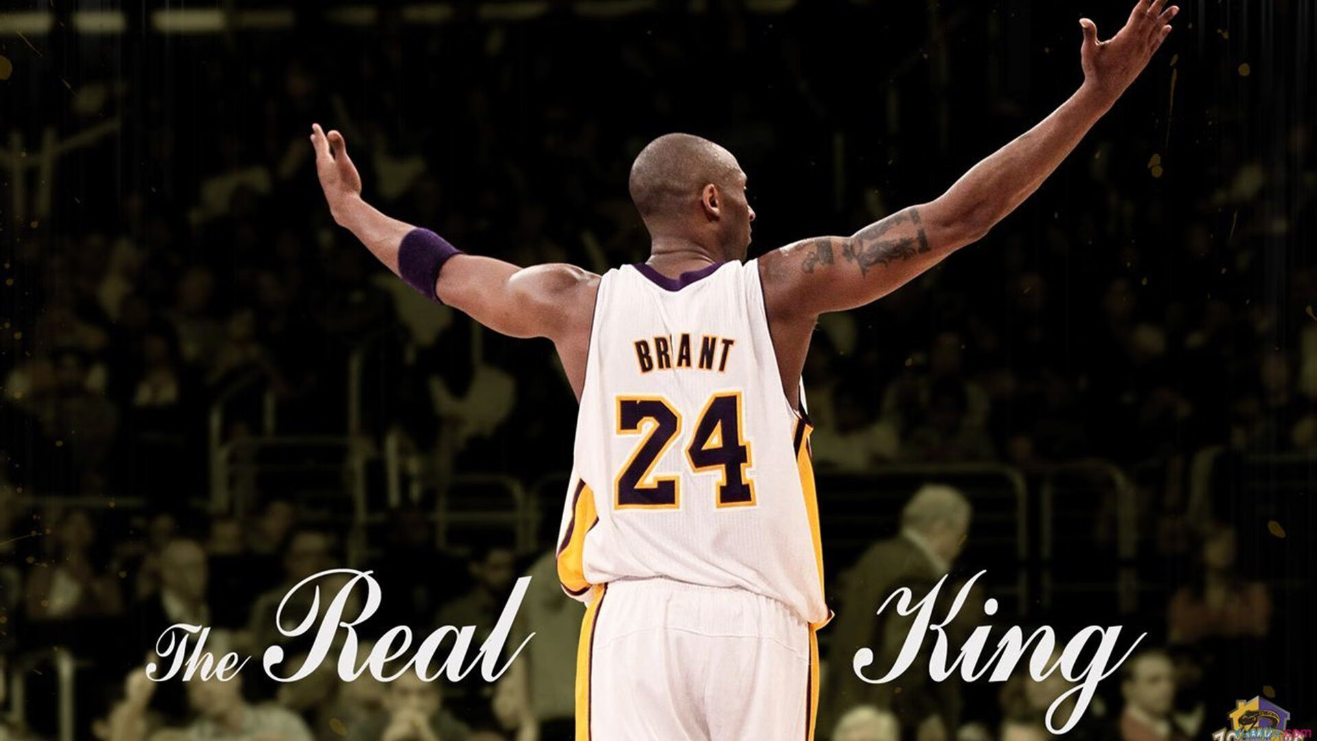 76人球队球队整体实力稳步上升,76人队厉害吗