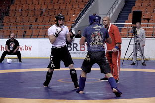 九游网-搏击台上竞技水平持续提高，搏击台上竞技水平持续提高怎么办